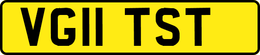 VG11TST