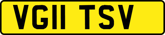 VG11TSV