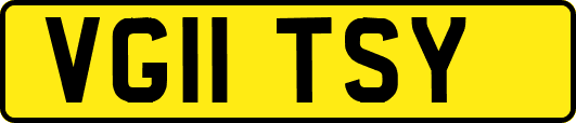 VG11TSY