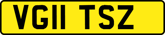 VG11TSZ