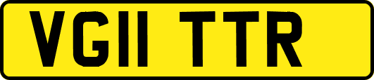 VG11TTR