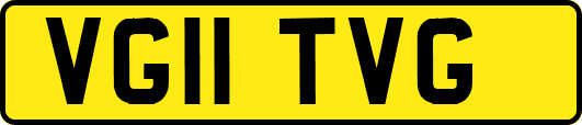 VG11TVG