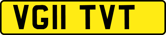 VG11TVT