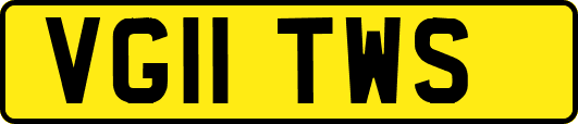 VG11TWS