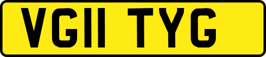 VG11TYG