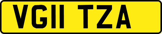 VG11TZA