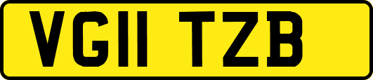 VG11TZB
