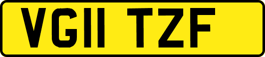 VG11TZF