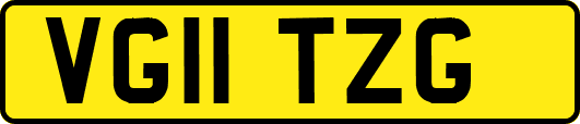 VG11TZG