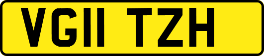 VG11TZH