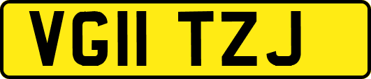 VG11TZJ
