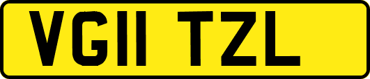 VG11TZL