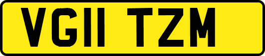 VG11TZM