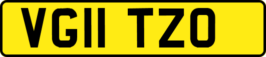 VG11TZO