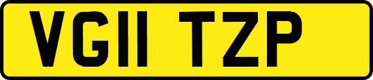 VG11TZP