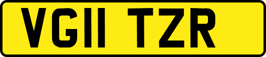 VG11TZR