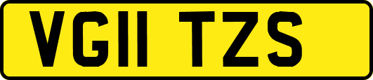 VG11TZS