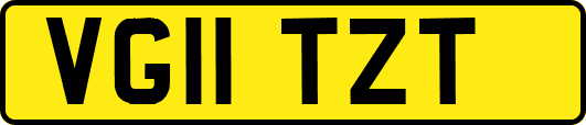 VG11TZT