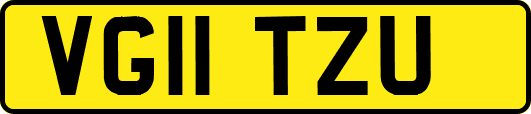 VG11TZU