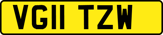 VG11TZW