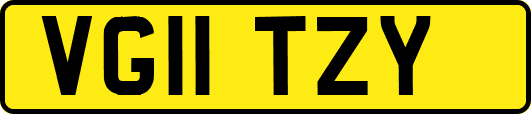 VG11TZY
