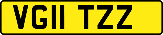 VG11TZZ