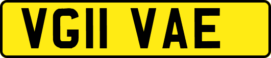 VG11VAE