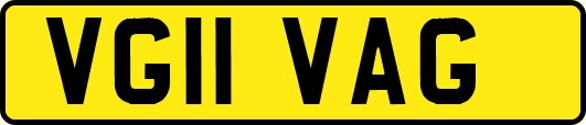 VG11VAG