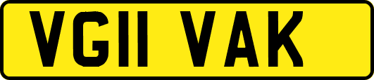 VG11VAK