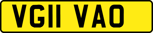VG11VAO