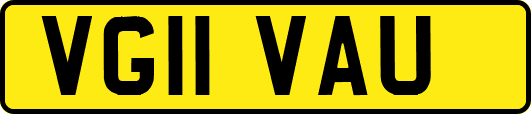 VG11VAU