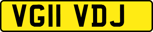 VG11VDJ