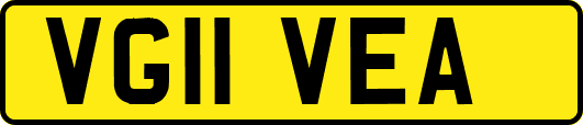 VG11VEA