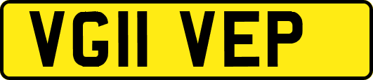 VG11VEP