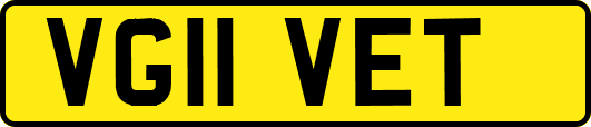 VG11VET