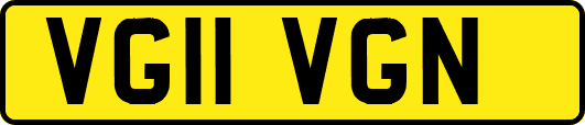 VG11VGN