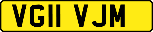 VG11VJM