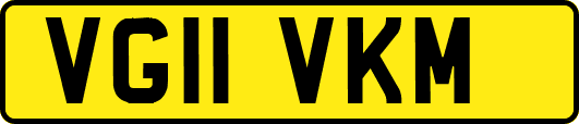 VG11VKM