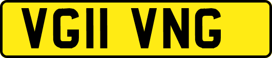 VG11VNG