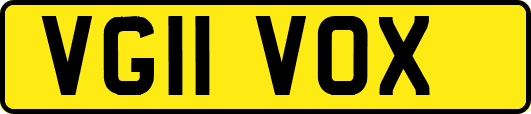 VG11VOX