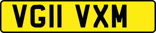 VG11VXM
