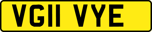 VG11VYE
