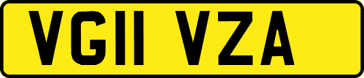 VG11VZA