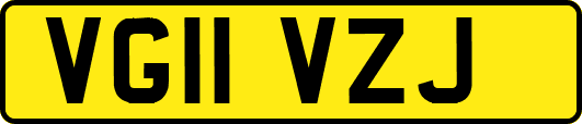 VG11VZJ