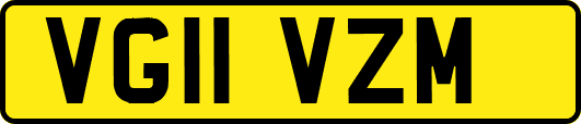 VG11VZM