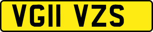 VG11VZS