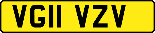 VG11VZV