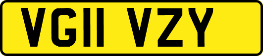 VG11VZY