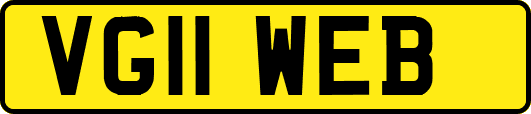 VG11WEB