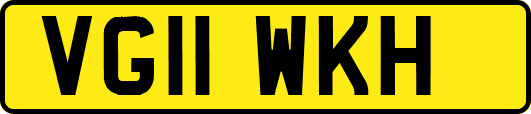 VG11WKH
